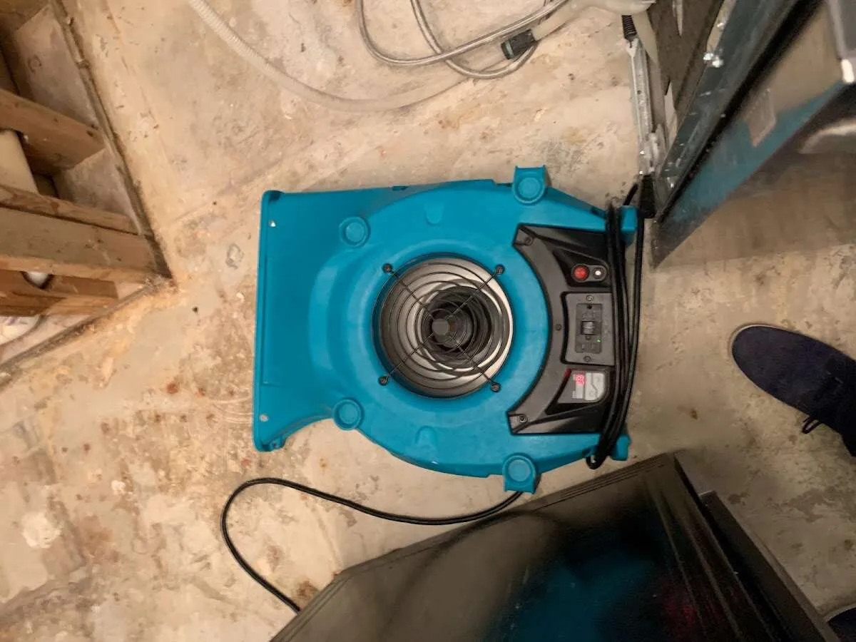 Air mover drying equipment for Mold Remediation & Removal in Brookside